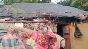Weathered hut with tarp roof and hanging items.