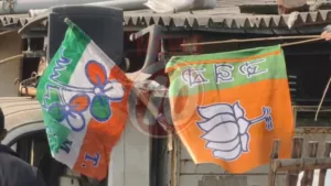 Two political party flags in India