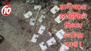 Voter ID cards scattered on rocky ground.