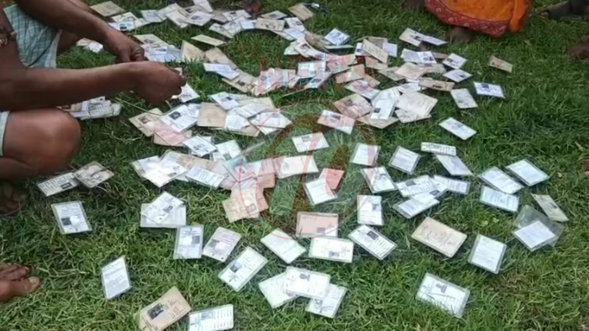 নানুরে মাঠে ছড়িয়ে ভোটার কার্ড !