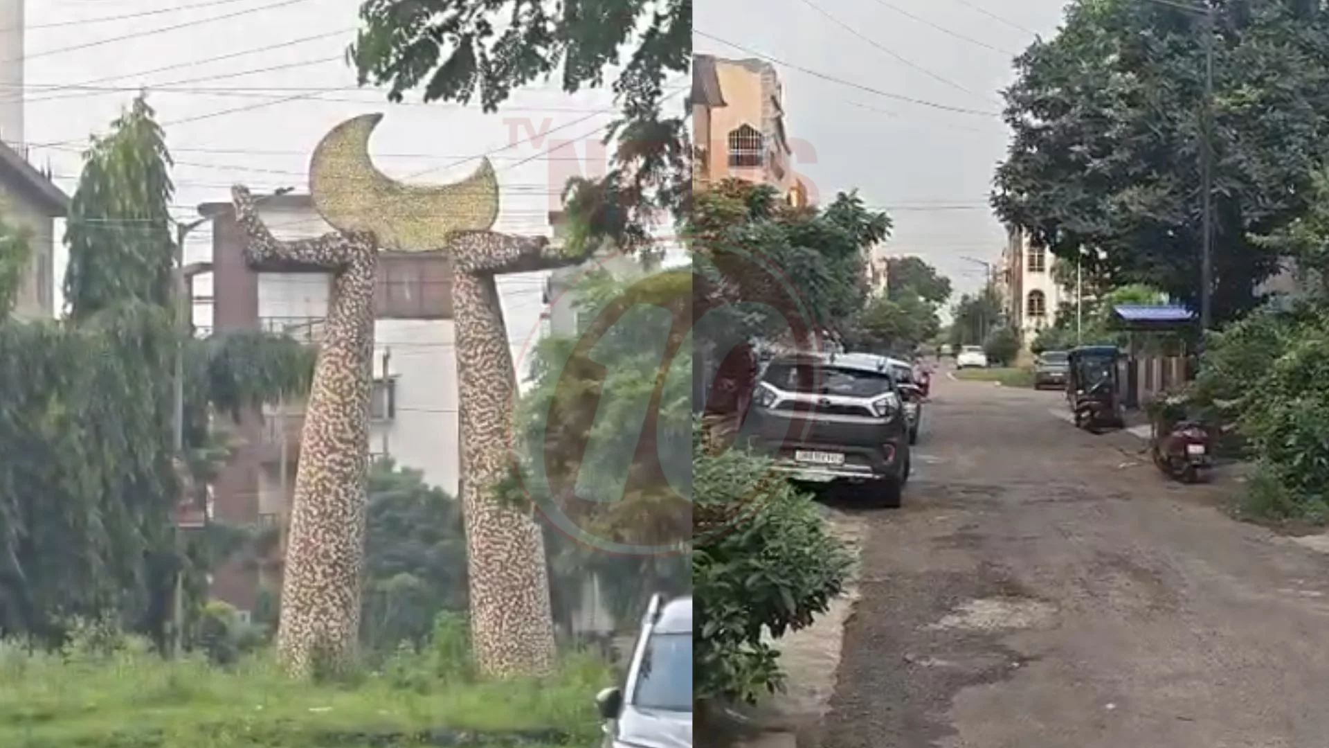 ফাঁকা প্লটে আগাছার জঙ্গল, বাড়ছে মশা-সাপের উপদ্রব !