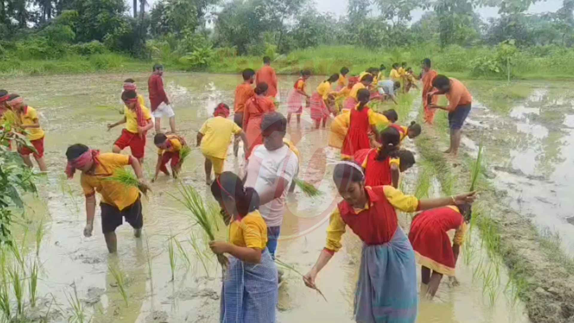 মাটিতে নেমে শিক্ষা গুরুকুলের পড়ুয়াদের